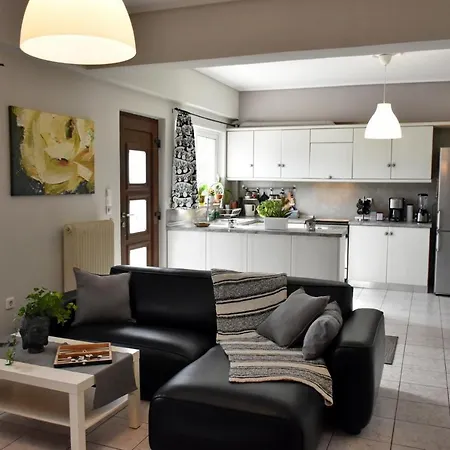 Apartment The Lovely Avlonari Avlonarion