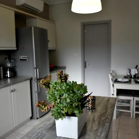 The Lovely Avlonari Apartmán